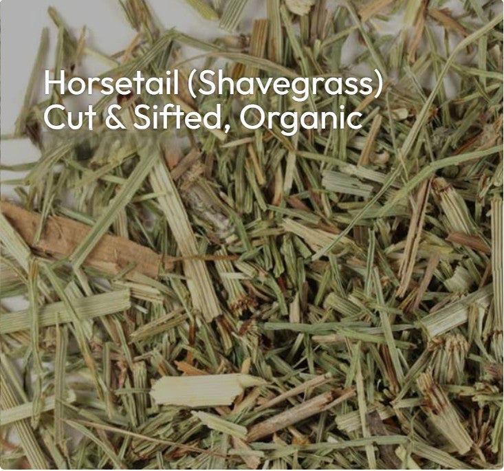 Horsetail "Ancient Strength, Modern Healing"