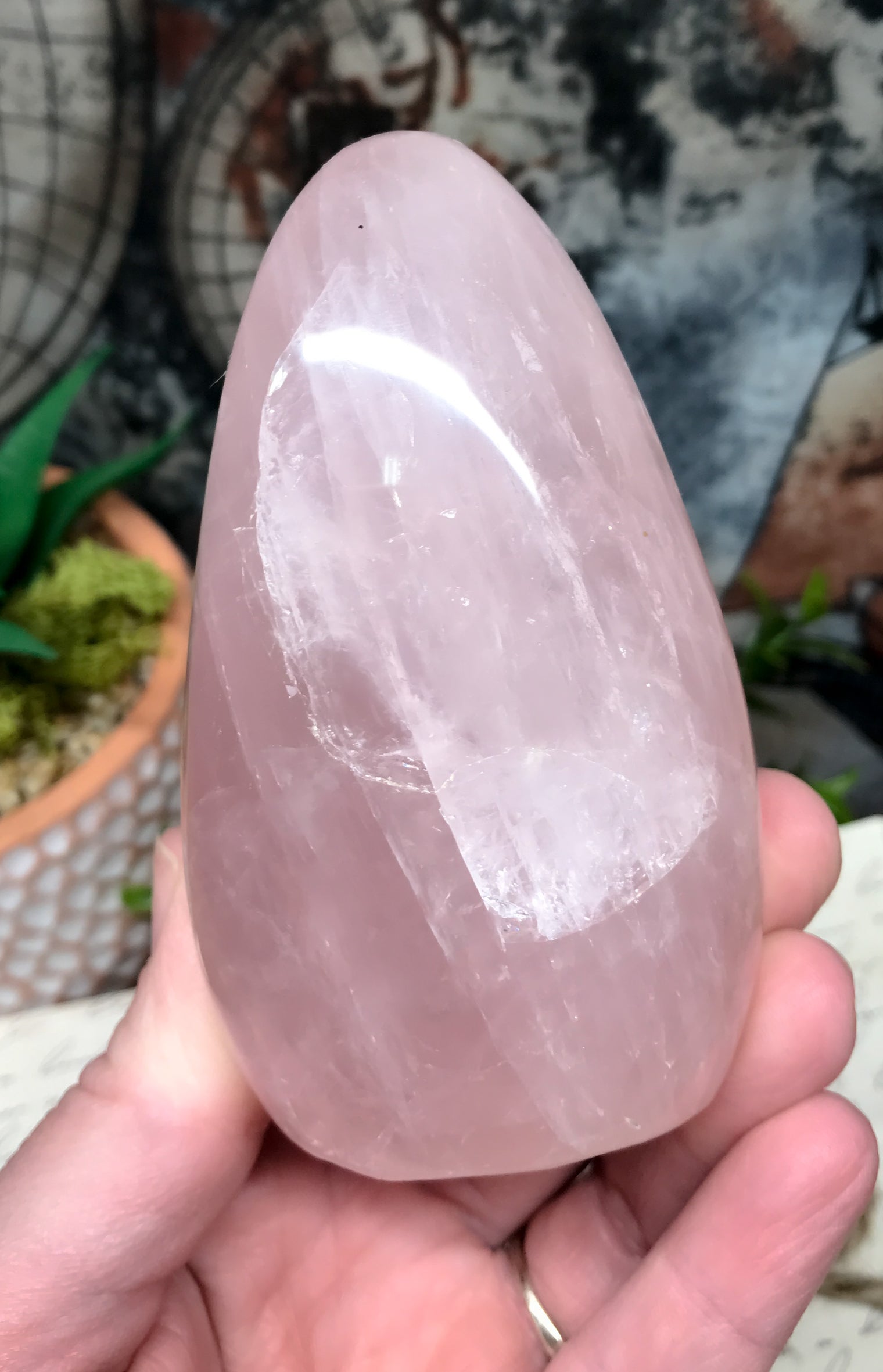 Rose Quartz Freeform for Relationships, Self Confidence & Self Love