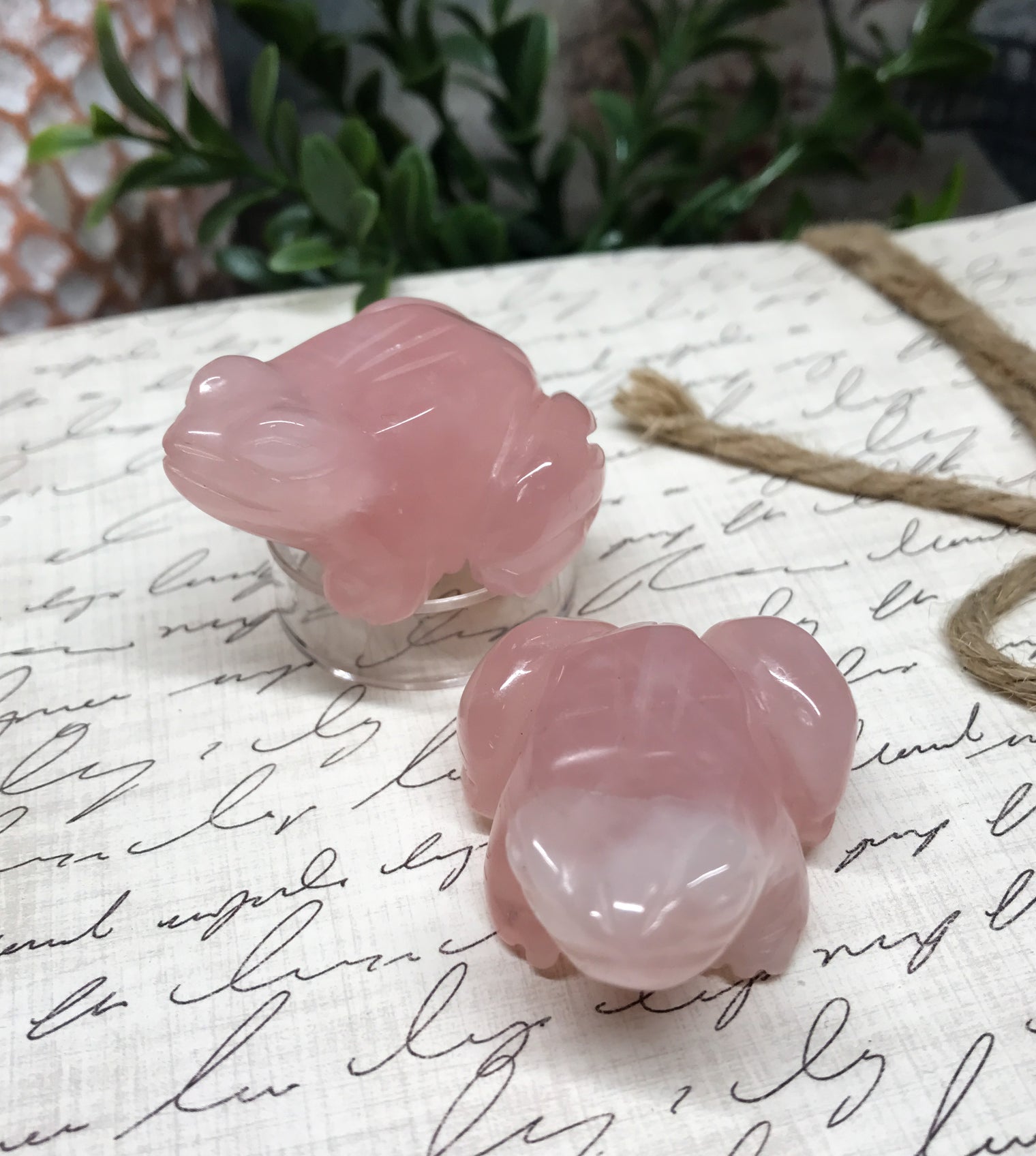 Rose Quartz Frog for Relationships, Self Confidence & Self Love