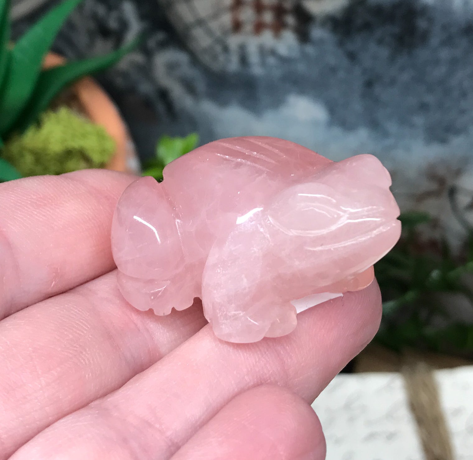 Rose Quartz Frog for Relationships, Self Confidence & Self Love