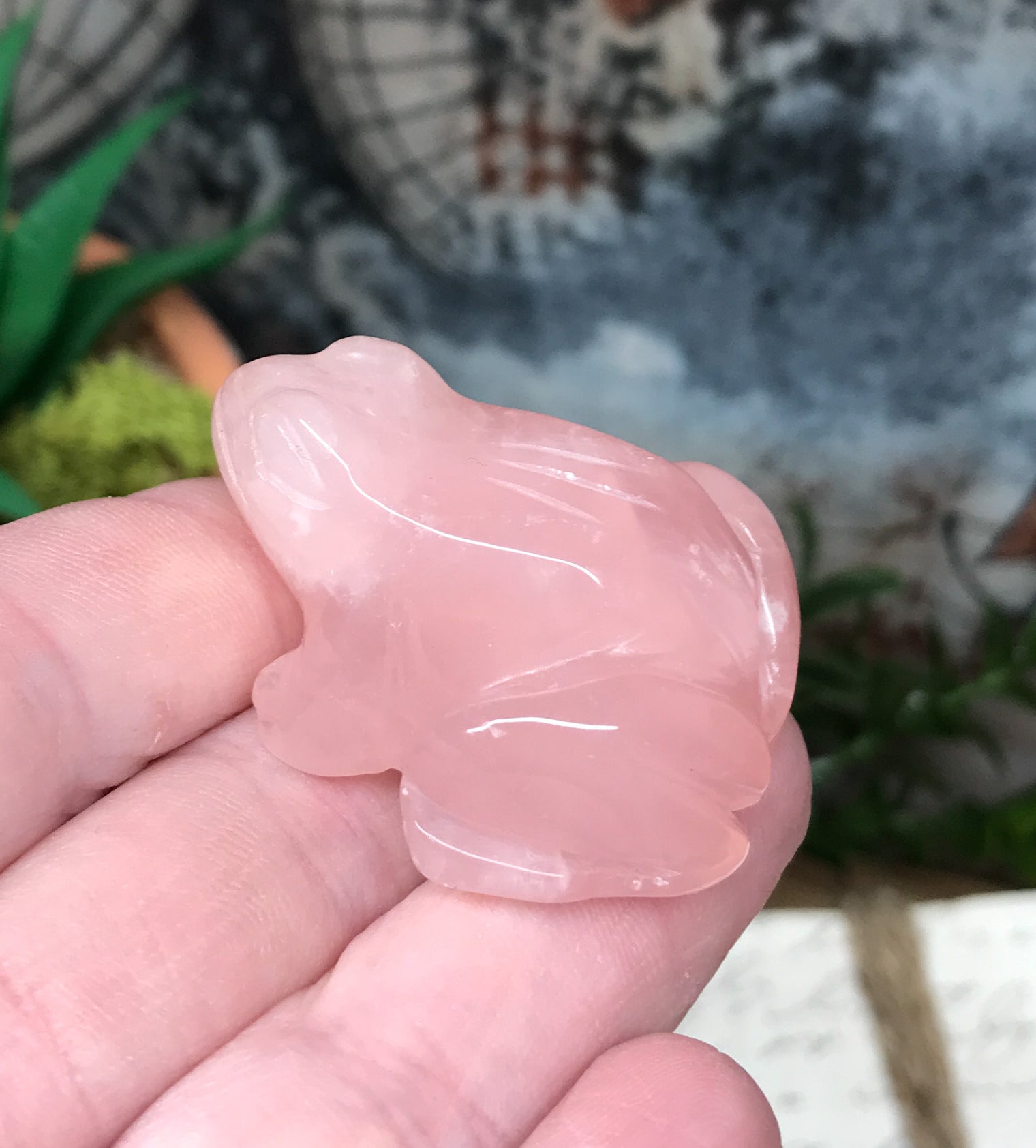 Rose Quartz Frog for Relationships, Self Confidence & Self Love