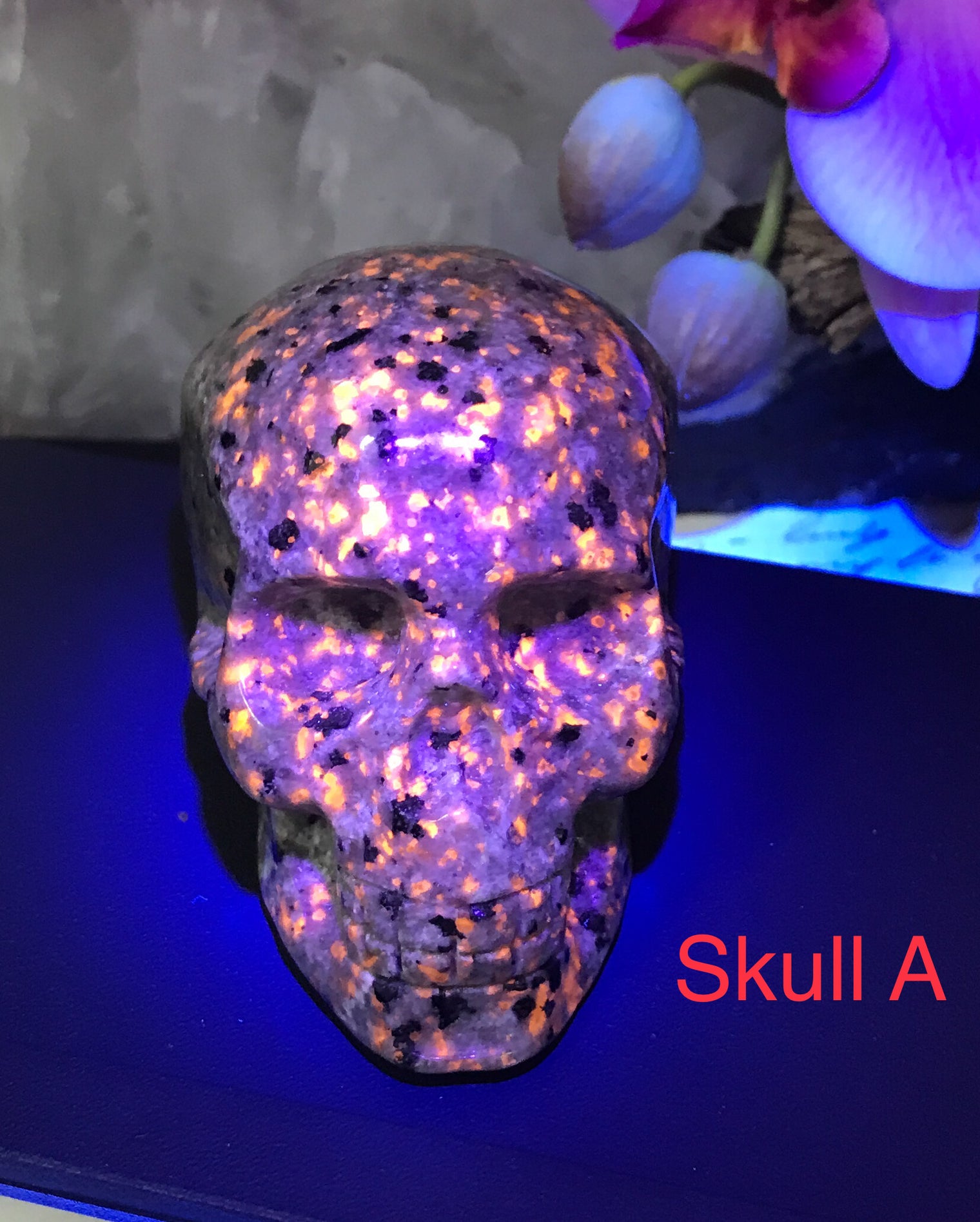 Yooperlite Skull for Improving Sleep, Increasing Energy Levels & Boosting The Immune System