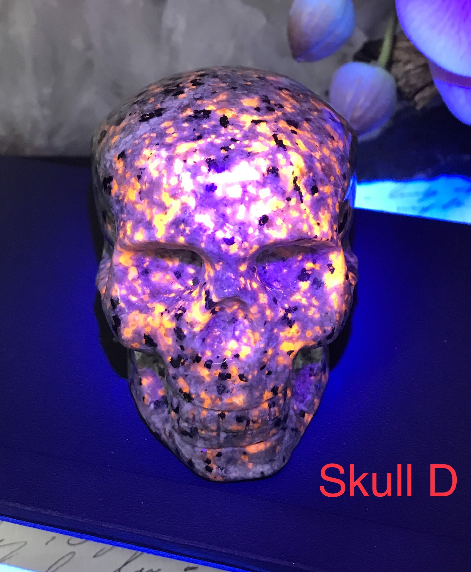 Yooperlite Skull for Improving Sleep, Increasing Energy Levels & Boosting The Immune System