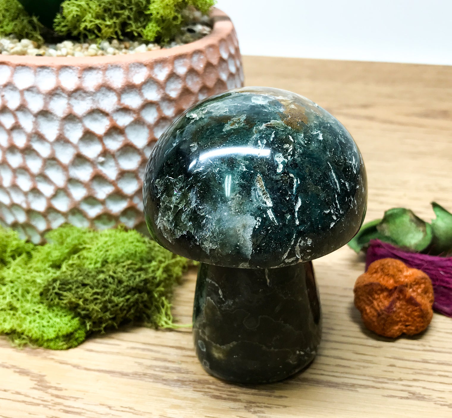 Ocean Jasper Mushroom for Promoting an Optimistic Outlook, Communication & Uplifting Energy