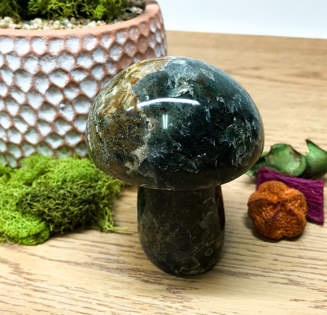 Ocean Jasper Mushroom for Promoting an Optimistic Outlook, Communication & Uplifting Energy