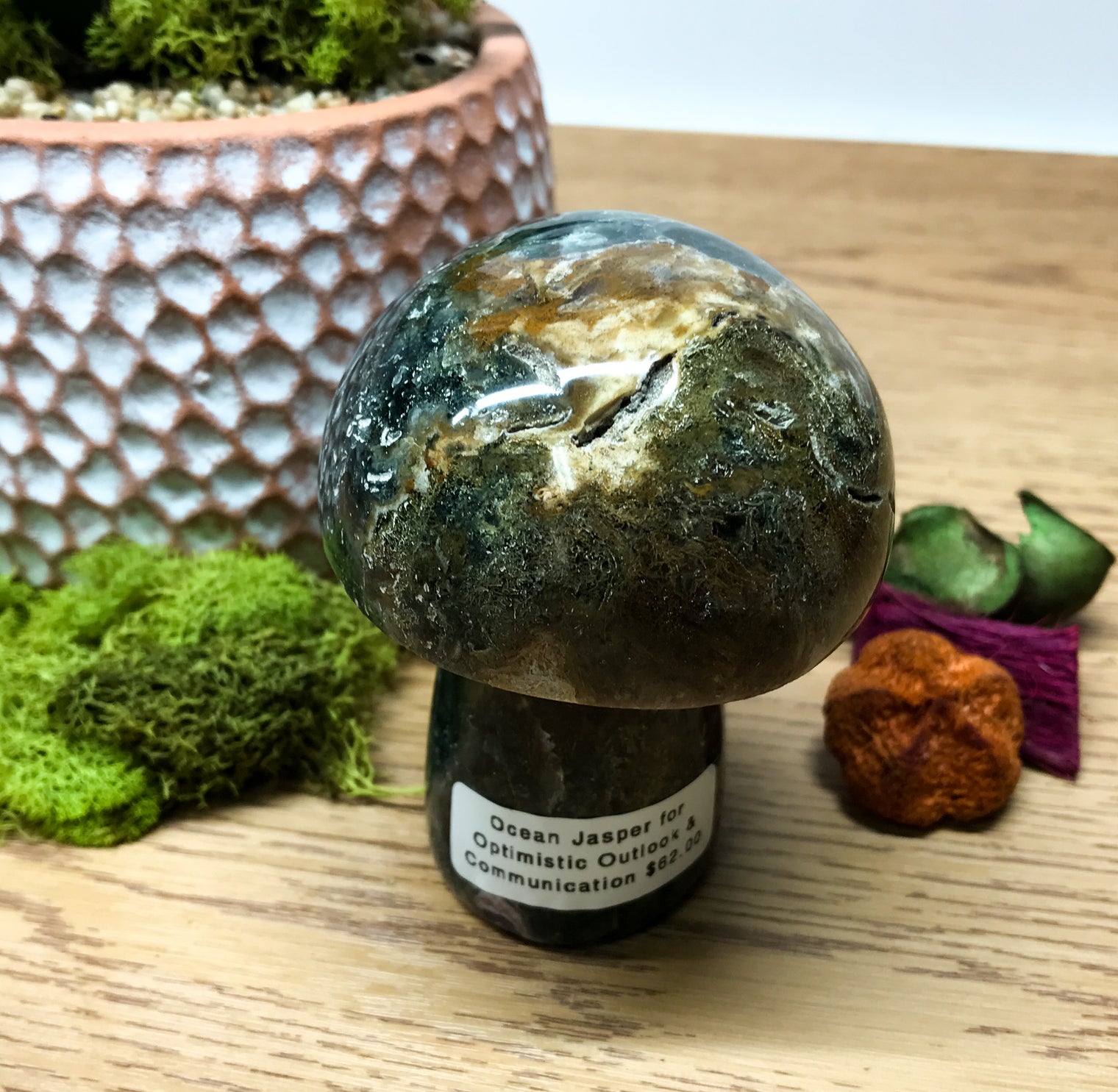 Ocean Jasper Mushroom for Promoting an Optimistic Outlook, Communication & Uplifting Energy