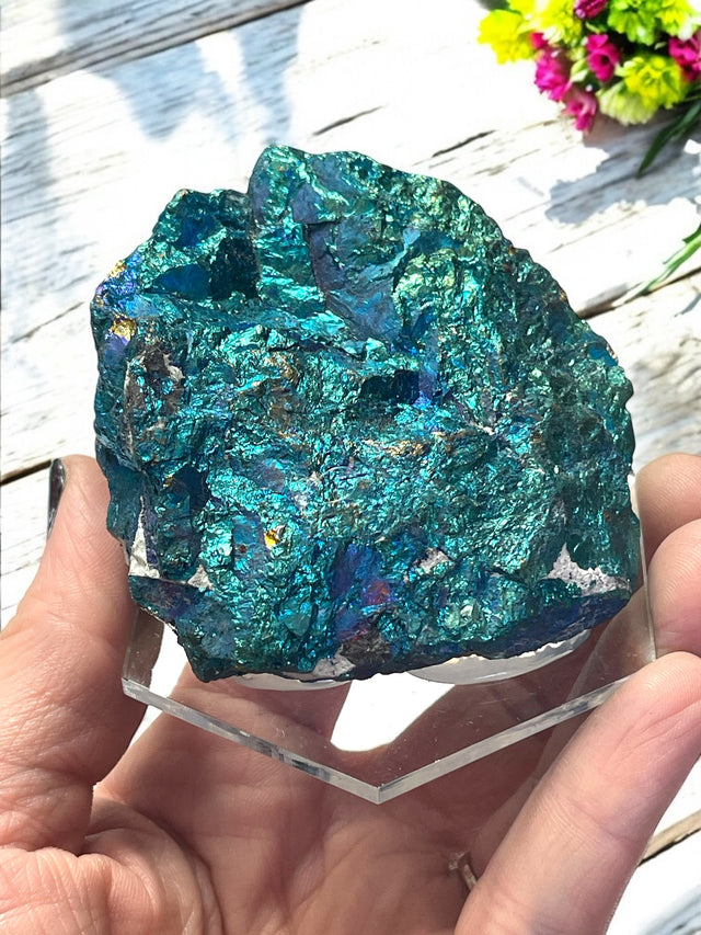 Chalcopyrite Specimen for Abundance, Energy Clearing & Creativity