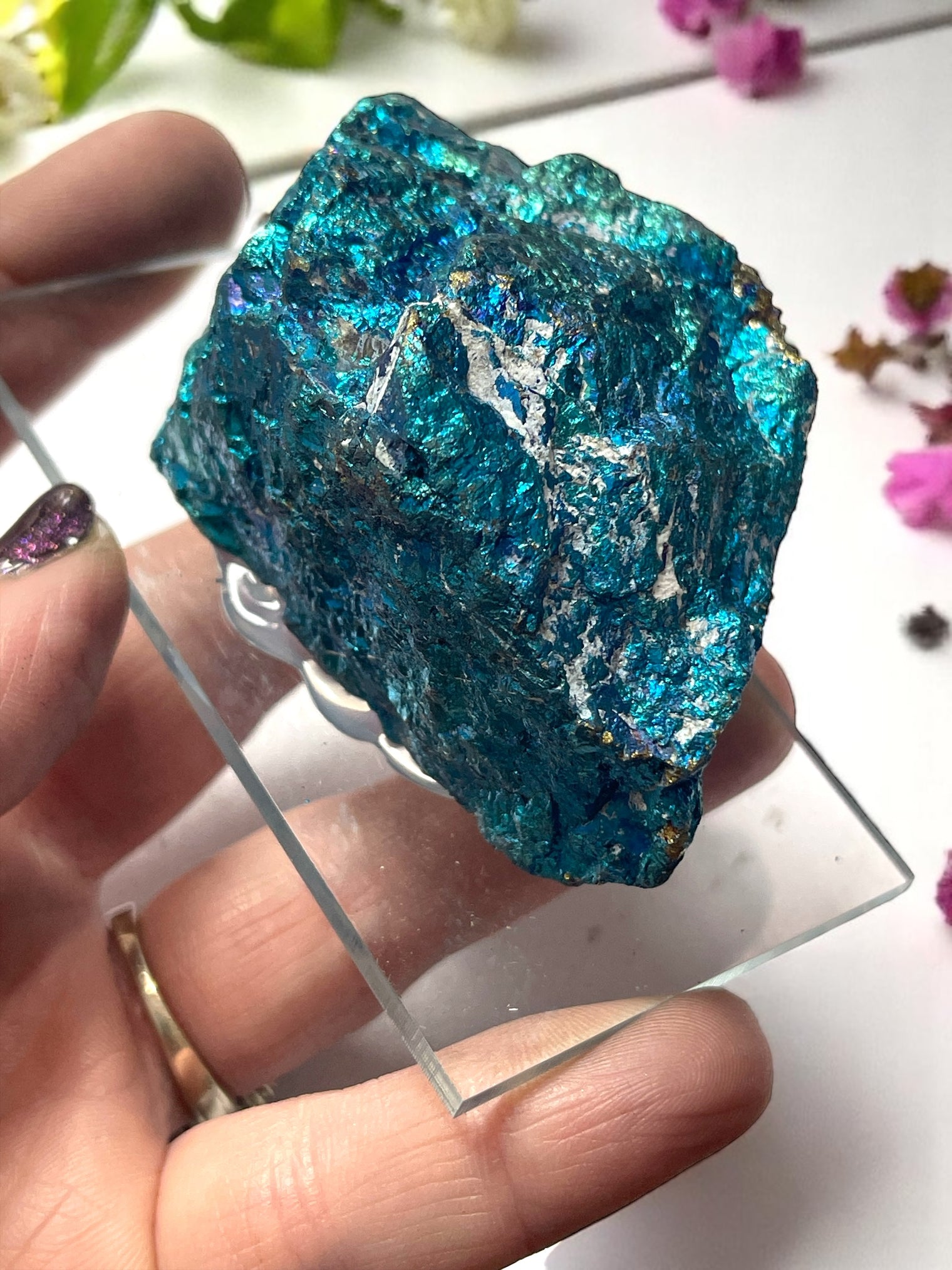 Chalcopyrite Specimen for Abundance, Energy Clearing & Creativity