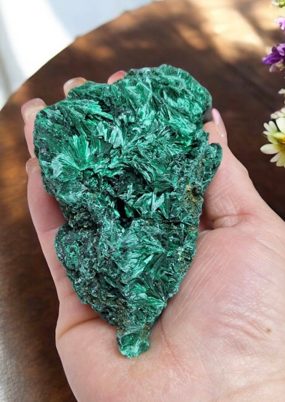 Velvet Malachite Specimen for Self Awareness, Strengthening Aura & Change