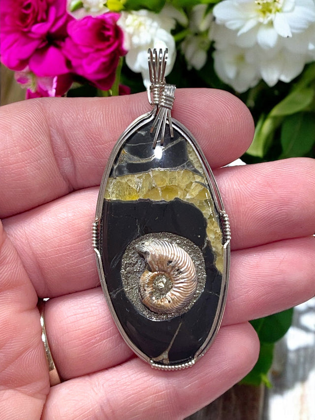 Ammonite Imbedded in Simbercite for Karmic Healing, Ancestral Wisdom & Embracing Change