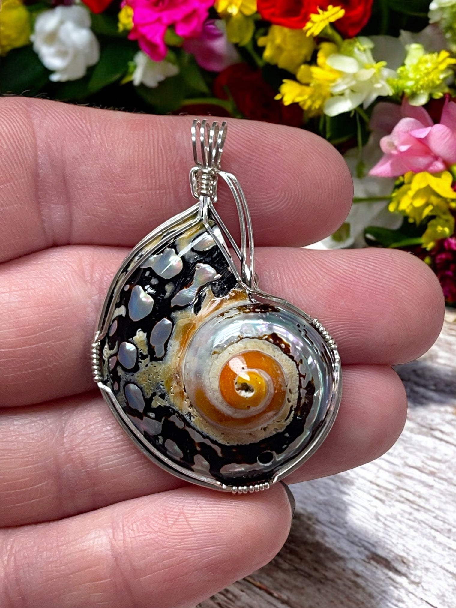 Turbosarmaticus Shell Pendant for Embracing Change, Adaptability & Fluidity