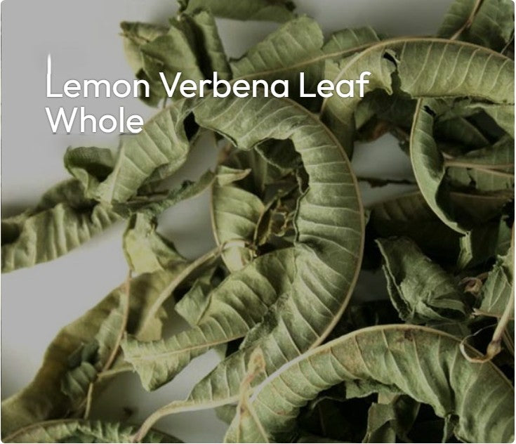Lemon Verbena "Bright Clarity, Gentle Calm, Uplifting Energy"