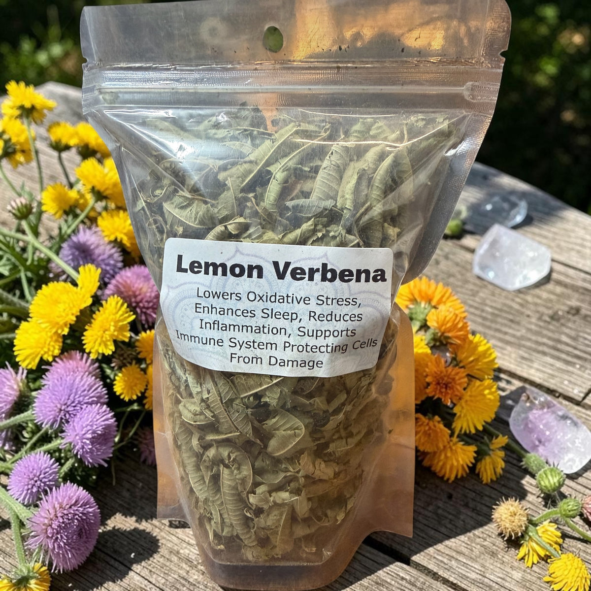 Lemon Verbena "Bright Clarity, Gentle Calm, Uplifting Energy"