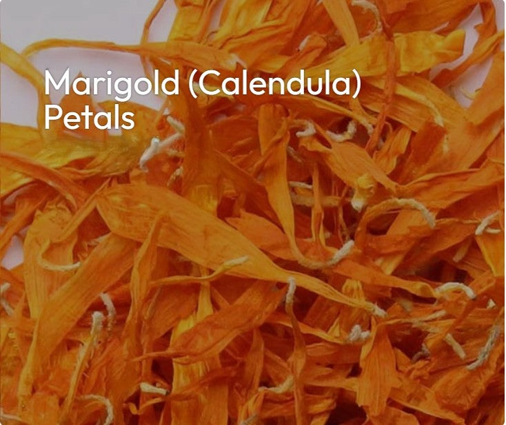 Orange Marigold "Solar Healing, Golden Protection, Gentle Renewal"