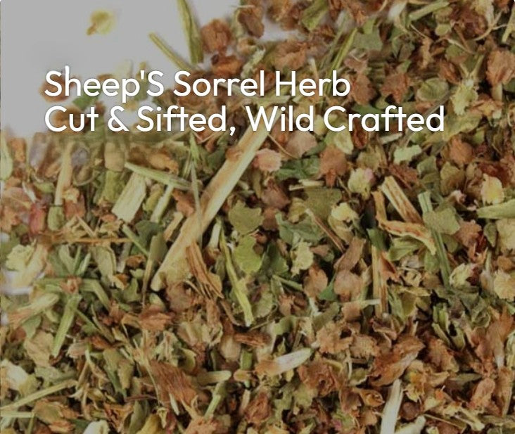 Sheep Sorrell "Wild Vitality, Sharp Clarity, Earthy Renewal"