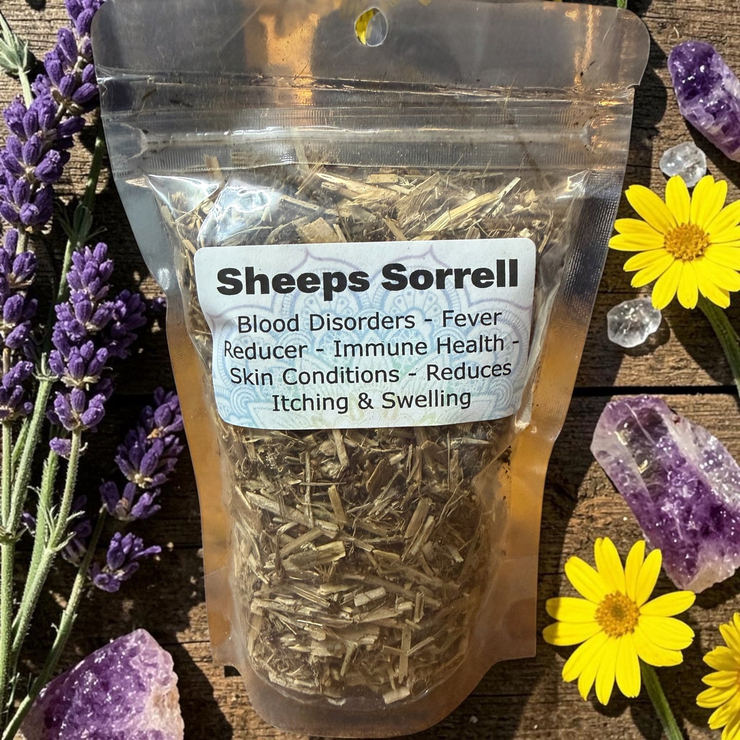 Sheep Sorrell "Wild Vitality, Sharp Clarity, Earthy Renewal"