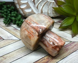 Fusion Feldspar Mushroom for Finding Unconventional Ways To Achieve Your Goals by Stimulating Creative Thinking