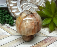 Fusion Feldspar Mushroom for Finding Unconventional Ways To Achieve Your Goals by Stimulating Creative Thinking