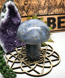 Dumortierite Mushroom Carving for Harmony, Tranquility & Patience