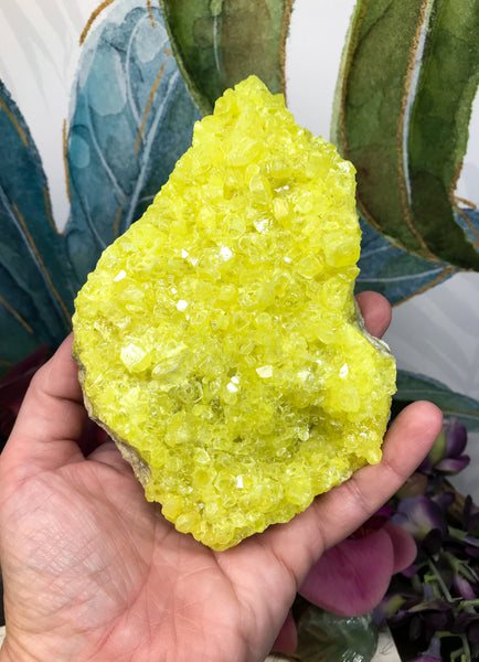 Sulphur Crystal Specimen for Willpower, Energy Transformation & Identity