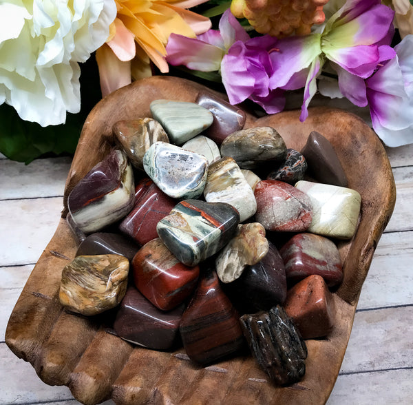 Petrified Wood Tumbled Stone for Grounding, Connection With The Earth & Past Life Recall