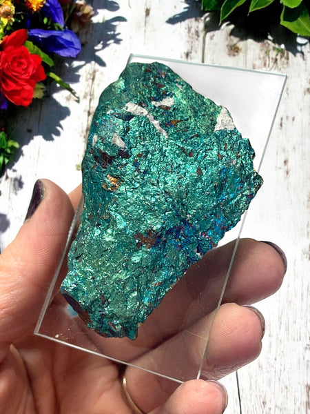 Chalcopyrite Specimen for Abundance, Energy Clearing & Creativity