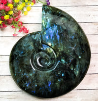 Labradorite Carved Ammonite on Stand for Balanced Energy, Intuition & Harmony