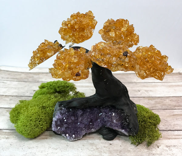 Citrine Gem Tree on Amethyst Cluster for Self Esteem, Self Confidence and Self Expression